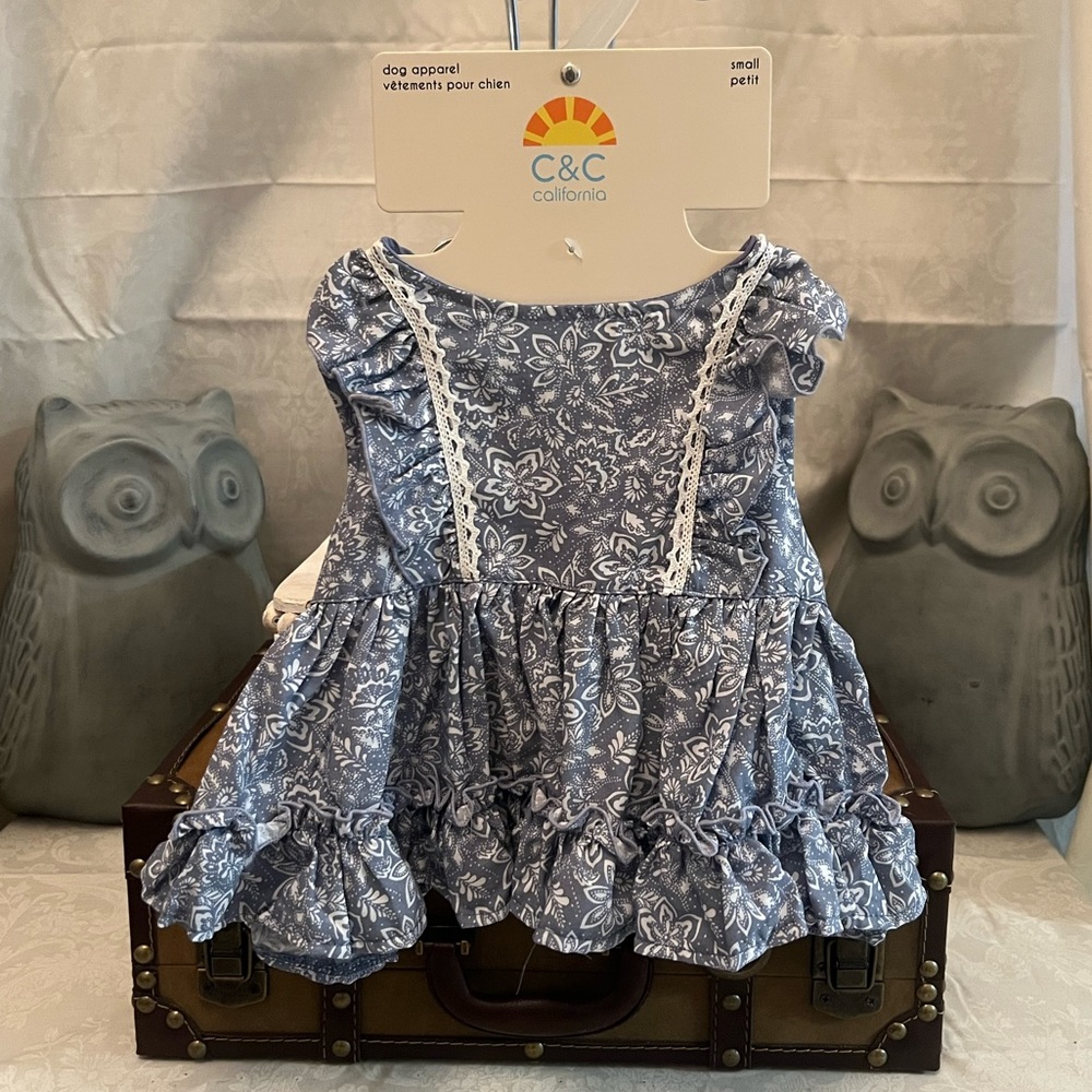 ⚡️C&C California Dod Dress